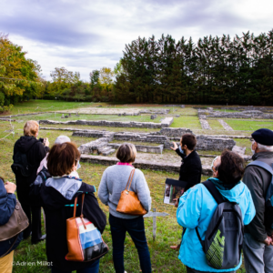 Partez à la découverte du site archéologique de Bolards à Nuits-Saint-Georges avec le musée de la ville.