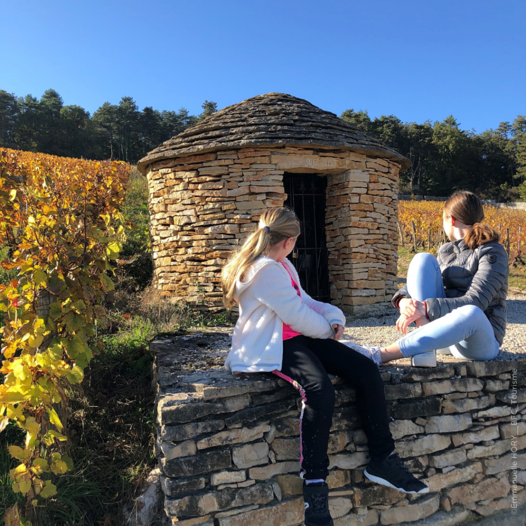 Idée d'activité famille : balade dans les vignes.