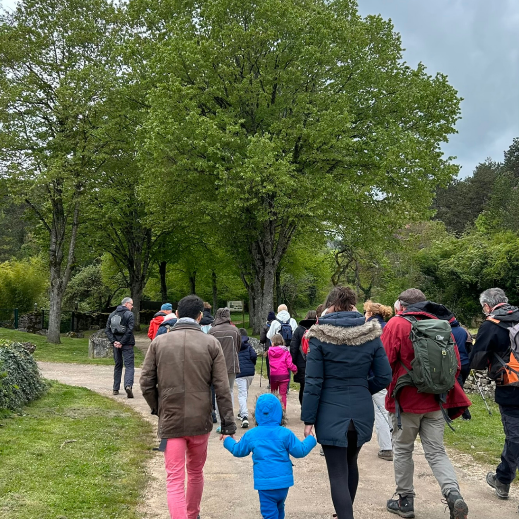 Idée d'activité en famille : balade dans les bois de Bourgogne