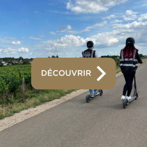 Trott en Vigne, organisé par l'office de tourisme de Gevrey-Chambertin Nuits-Saint-Georges