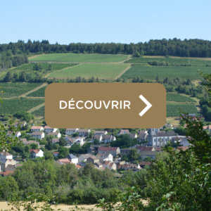 Un village une rencontre à Arcenant - organisé par l'office de tourisme de Gevrey-Chambertin Nuits-Saint-Georges.