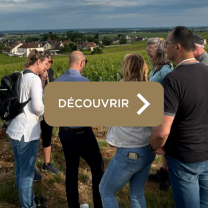 "Vins de carac'terre", balade dans les vignes de Morey-Saint-Denis, organisée par l'office de tourisme de Gevrey-Chambertin Nuits-Saint-Georges