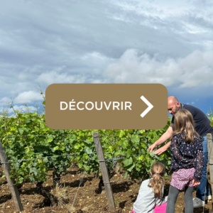 "il éait une fois la vigne", activité famille, activité enfants, organisée par l'office de tourisme de Gevrey-Chambertin Nuits-Saint-Georges