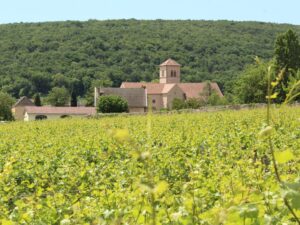 A la découverte de Gevrey-Chambertin, village au cœur de la Route des Grands Crus de Bourgogne - vue sur l’Église Saint-Aignant