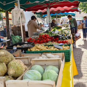 Marché du vendredi matin à Nuits-Saint-Georges