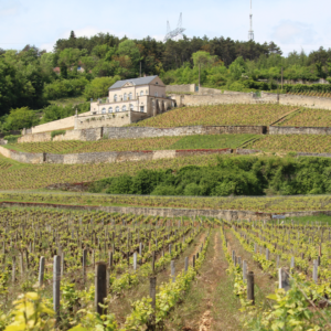 Photo du Château Gris à Nuits-Saint-Georges