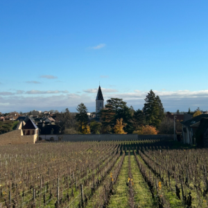 Vignes avec vue sur Nuits-Saint-Georges,