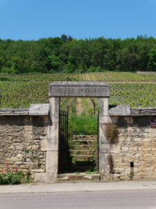 Vignes dans le village de Premeaux-Prissey